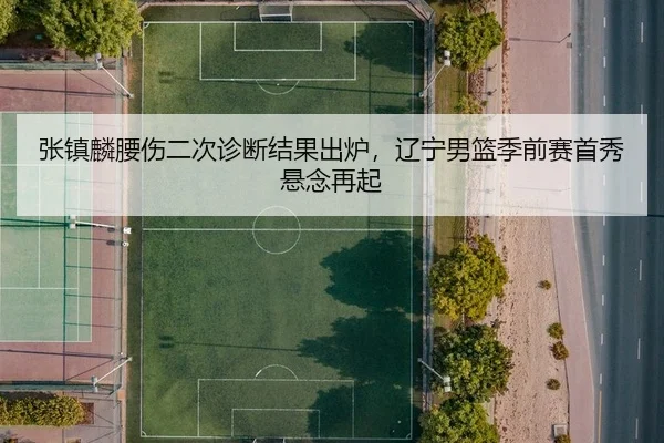 张镇麟腰伤二次诊断结果出炉，辽宁男篮季前赛首秀悬念再起